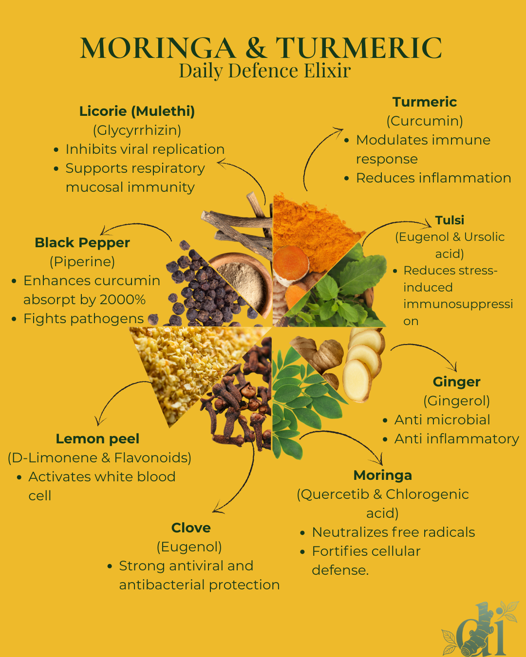 Infographic detailing the benefits of Moringa and Turmeric with images and text on a yellow background.